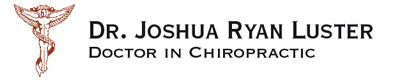 International Chiropractic Services